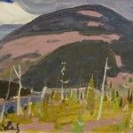 La forêt au pied de la montagne