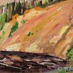 VENDU: Petit Saguenay